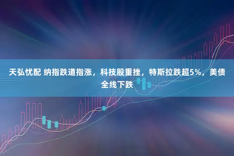 天弘忧配 纳指跌道指涨，科技股重挫，特斯拉跌超5%，美债全线下跌