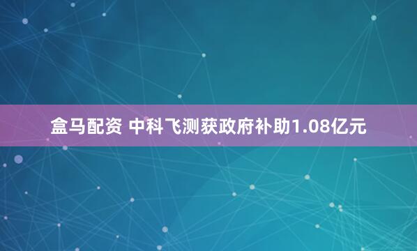 盒马配资 中科飞测获政府补助1.08亿元
