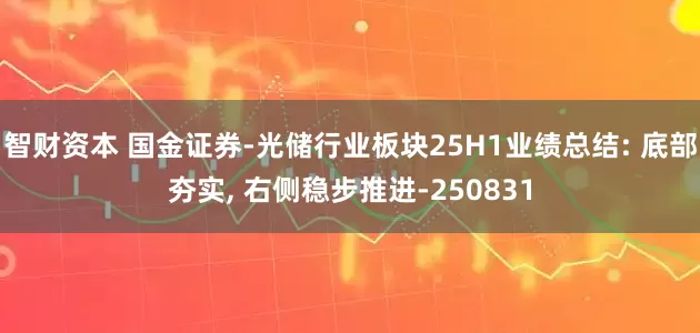 智财资本 国金证券-光储行业板块25H1业绩总结: 底部夯实, 右侧稳步推进-250831