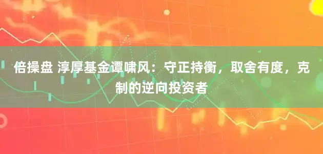 倍操盘 淳厚基金谭啸风：守正持衡，取舍有度，克制的逆向投资者